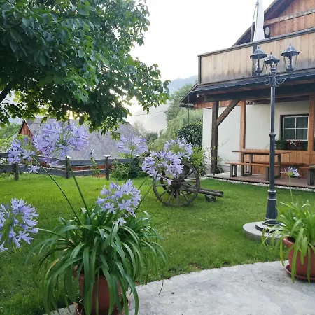 Ortnerhof Ennstal 3*