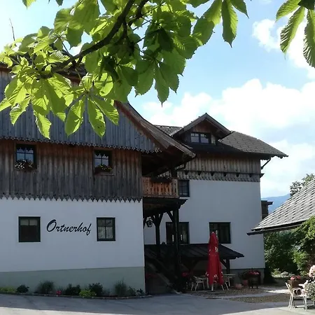 恩斯塔尔奥尔尼霍夫住宿加早餐旅馆